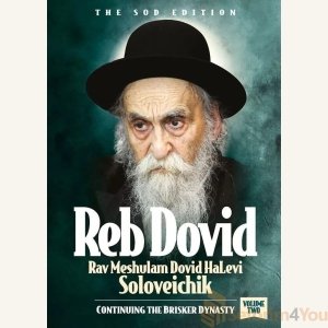 Reb Dovid, Volume 2