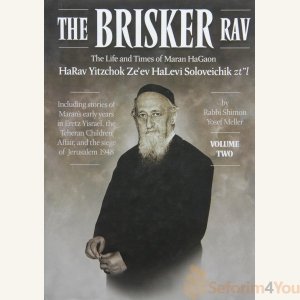 The Brisker Rav, Volume 2