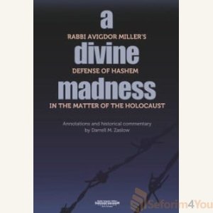 A Divine Madness
