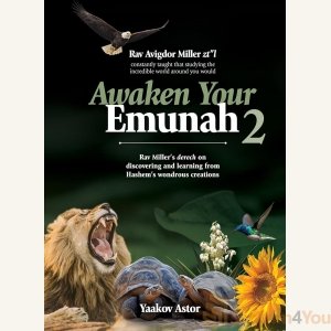 Awaken Your Emunah 2