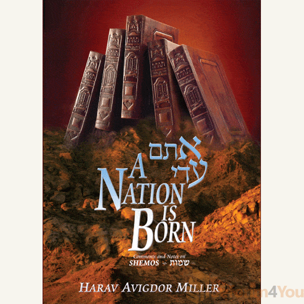 A-Nation-is-Born.gif