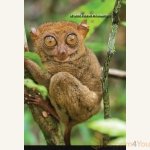 Awaken-Your-Emunah6.jpg