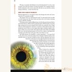 Awaken-Your-Emunah7.jpg