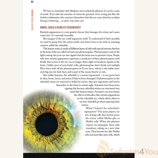Awaken-Your-Emunah7.jpg Awaken-Your-Emunah7.jpg