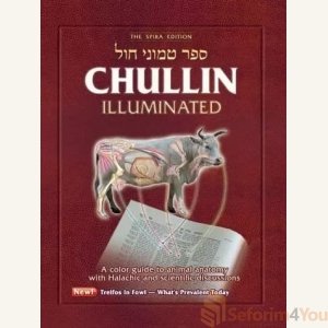 Chullin Illuminated by Rabbi Yaakov Dovid Lach
