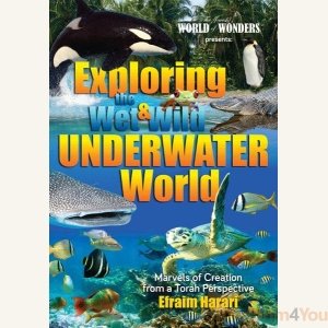Exploring the Wet and Wild Underwater World