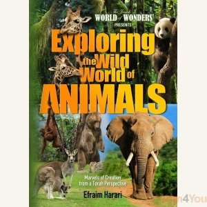 Exploring the Wild World of Animals