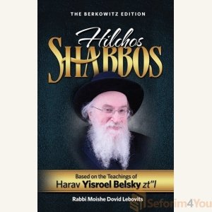 Hilchos Shabbos - Harav Yisroel Belsky zt"l