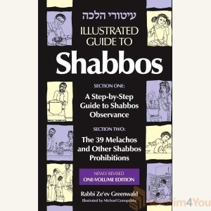 Illustrated Guide to Shabbos - Rabbi Zeev Greenwald
