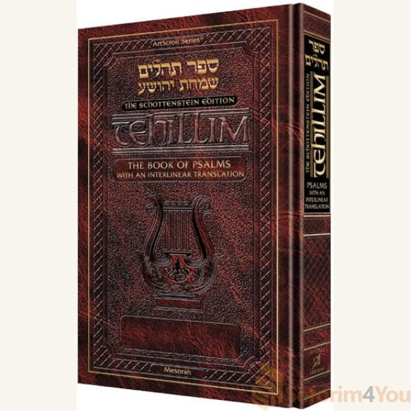 Interlinear-Tehillim-Psalms-Full-Size-The-Schottenstein-Edition.jpg Interlinear-Tehillim-Psalms-Full-Size-The-Schottenstein-Edition.jpg