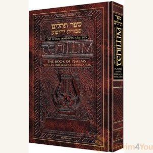 Interlinear Tehillim /Psalms Full Size The Schottenstein Edition [Hardcover]