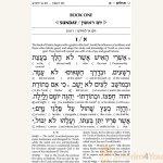 Interlinear-Tehillim-Psalms-Full-Size-The-Schottenstein-Edition-Hardcover1.jpg