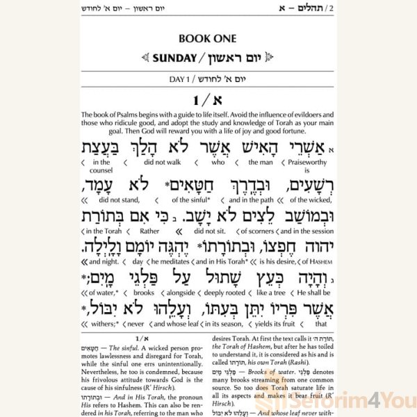 Interlinear-Tehillim-Psalms-Full-Size-The-Schottenstein-Edition-Hardcover1.jpg