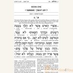 Interlinear-Tehillim-Psalms-Full-Size-The-Schottenstein-Edition5.jpg