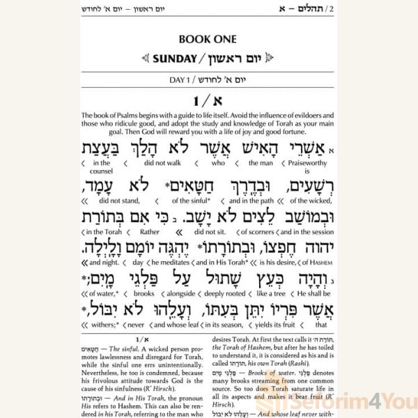 Interlinear-Tehillim-Psalms-Full-Size-The-Schottenstein-Edition5.jpg Interlinear-Tehillim-Psalms-Full-Size-The-Schottenstein-Edition5.jpg