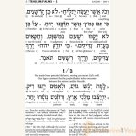 Interlinear-Tehillim-Psalms-Full-Size-The-Schottenstein-Edition6.jpg