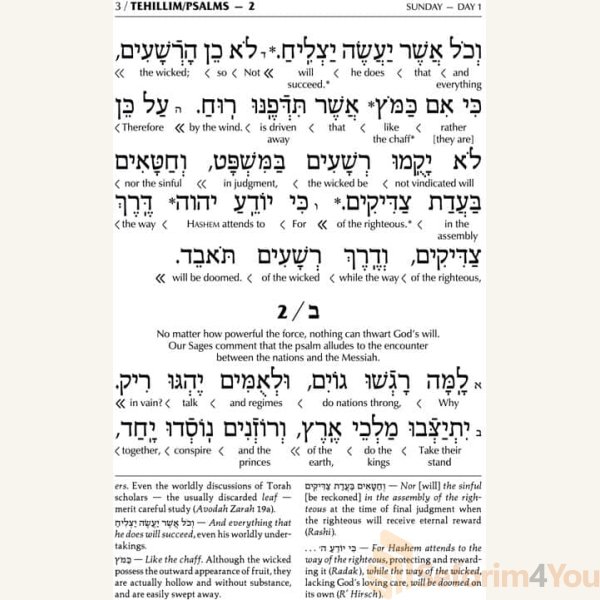 Interlinear-Tehillim-Psalms-Full-Size-The-Schottenstein-Edition6.jpg Interlinear-Tehillim-Psalms-Full-Size-The-Schottenstein-Edition6.jpg