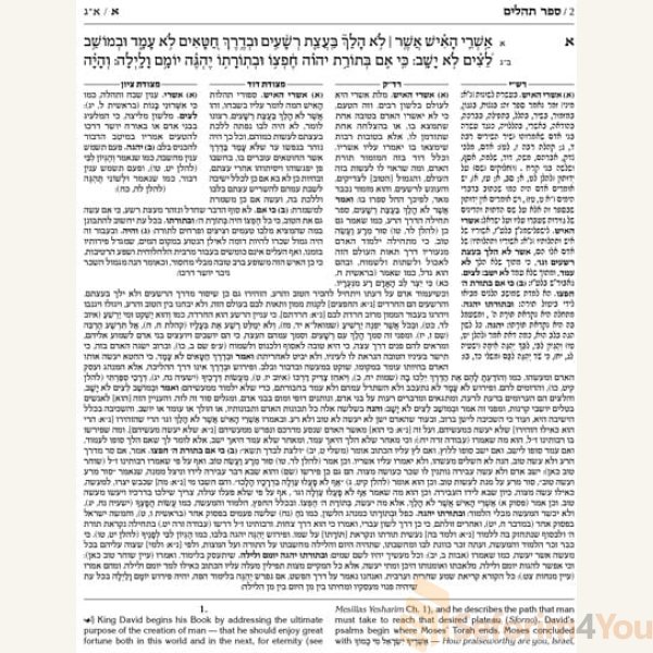 Kesuvim-Tehillim-Psalms-Hardcover.jpg