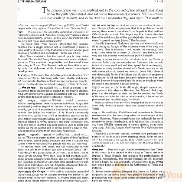Kesuvim-Tehillim-Psalms-Hardcover1.jpg