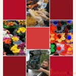 Kosher-By-Design-Brings-It-Home8.jpg
