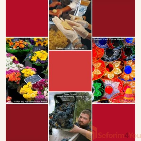 Kosher-By-Design-Brings-It-Home8.jpg