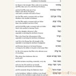 Pathway-to-Prayer-6.jpg