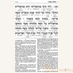 Schottenstein-Ed-Interlinear-Megillah3.jpg