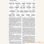 Schottenstein-Ed-Interlinear-Megillah4.jpg