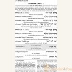 Siddur-Transliterated-Linear-Sabbath-And-Festivals-Seif-Edition1.jpg