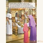THE-PASSOVER-BOOK2.jpg