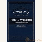 TORAS-AVIGDOR-VOL-2-SHEMOS.jpg
