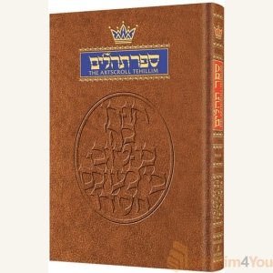 Tehillim / Psalms - 1 Vol - Full Size [Hardcover- Full Size]
