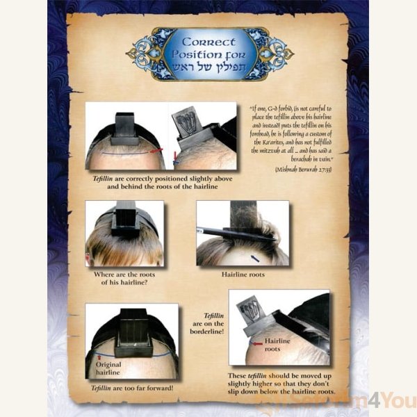 The-Bar-Mitzvah-Treasury3.jpg The-Bar-Mitzvah-Treasury3.jpg