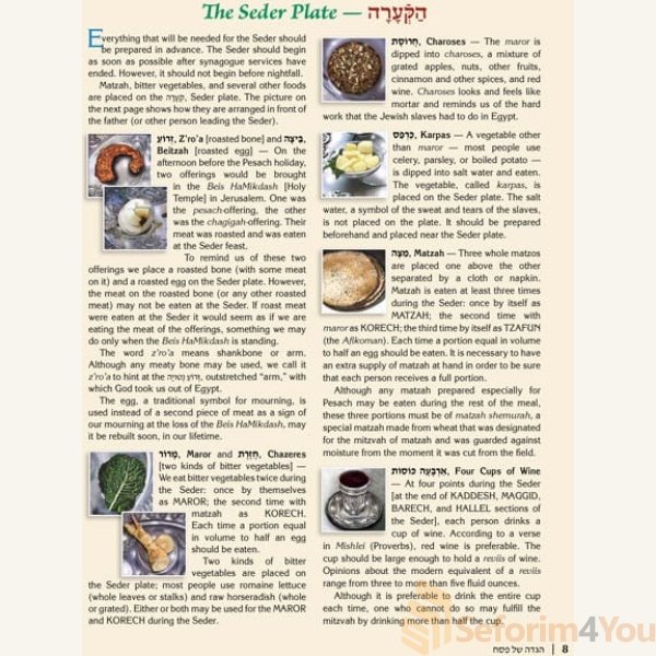 The-Illustrated-Haggadah-4.jpg