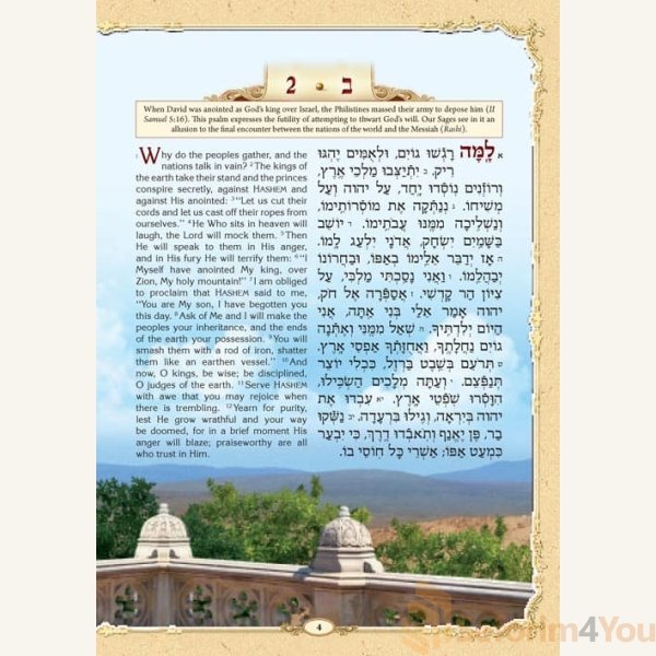 The-Illustrated-Tehillim3.jpg