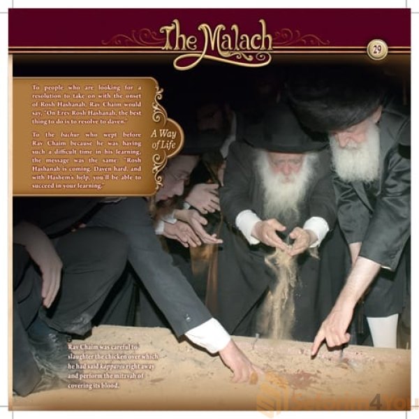 The-Malach-on-23-Rashbam-Street6.jpg The-Malach-on-23-Rashbam-Street6.jpg