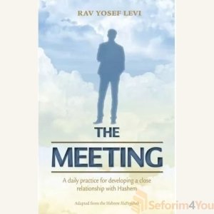 The Meeting by Rav Yosef Levi