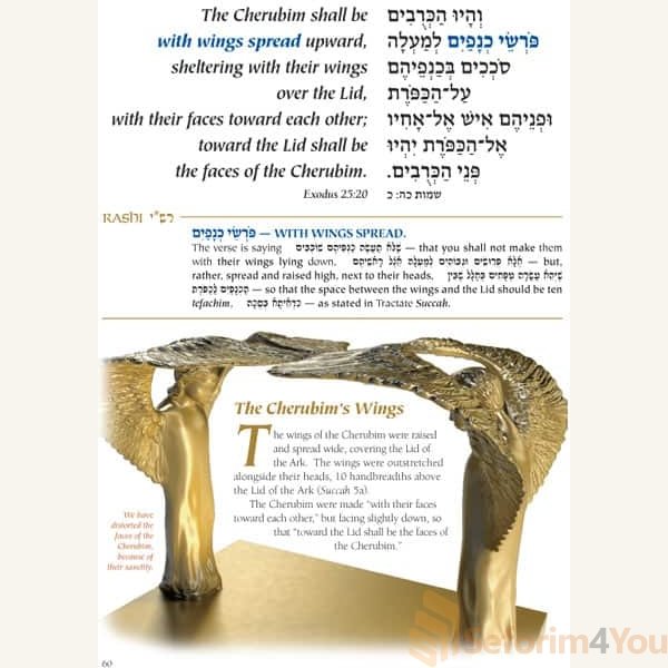 The-Mishkan-Tabernacle-6.jpg