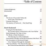 The-Mystery-and-the-Majesty-By-Rabbi-Daniel-Glatstein1.jpg