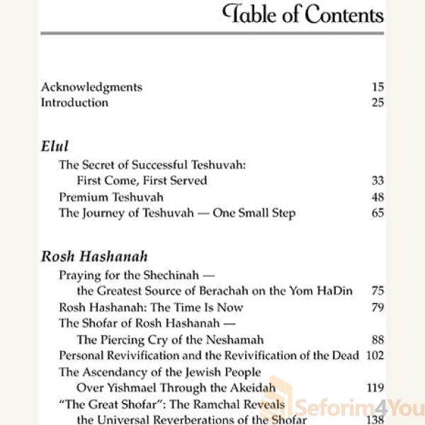 The-Mystery-and-the-Majesty-By-Rabbi-Daniel-Glatstein1.jpg