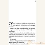 The_Spanish_Plotpages8.jpg
