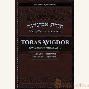Toras Avigdor: Moadim I