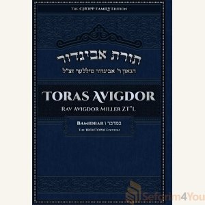 Toras Avigdor, Vol. 4: Bamidbar