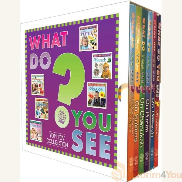 WHAT-DO-YOU-SEE-6-VOL-SLIPCASED-YOM-TOV-COLLECTION.jpg