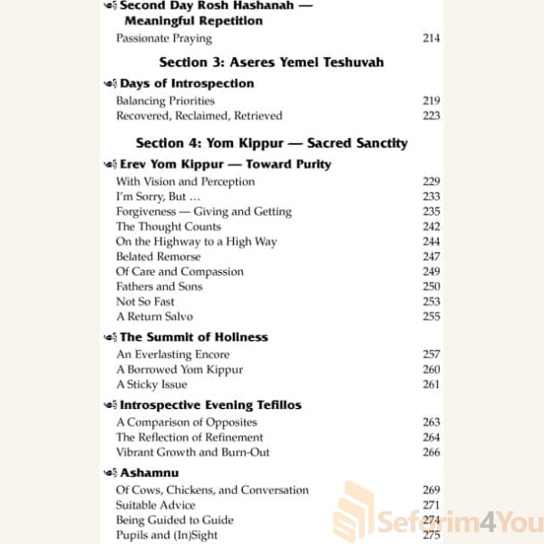 Yamim-Noraim-with-the-Maggid4.jpg