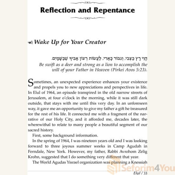 Yamim-Noraim-with-the-Maggid6.jpg